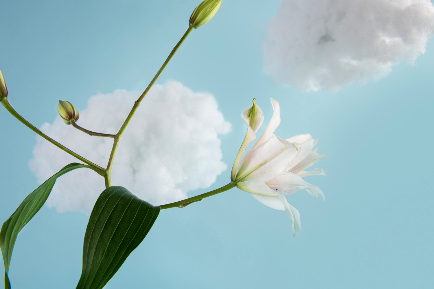 Consistency is Key: Content Creation Tips for Introverts